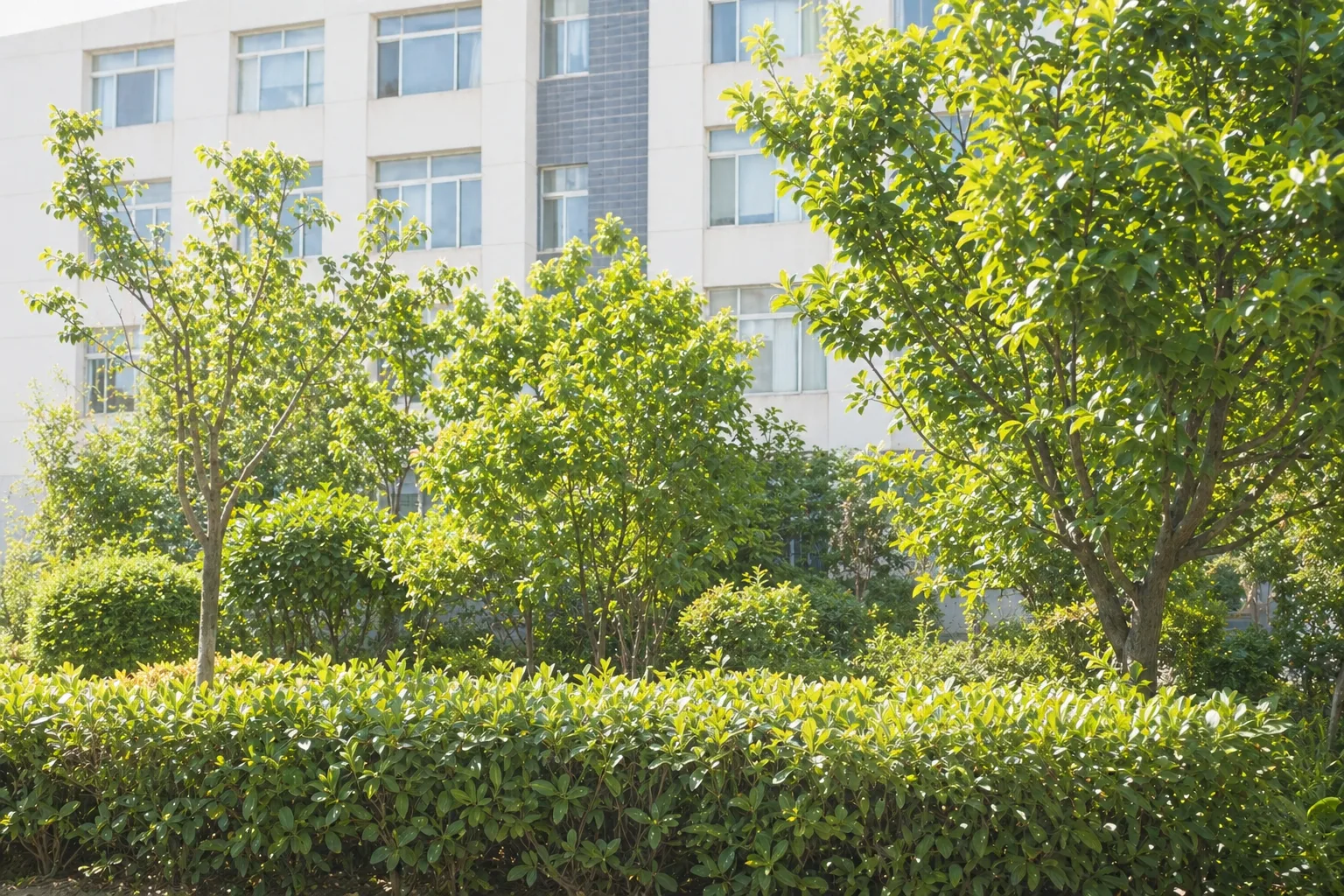 Outdoor greenery reference, used as the window-view texture
