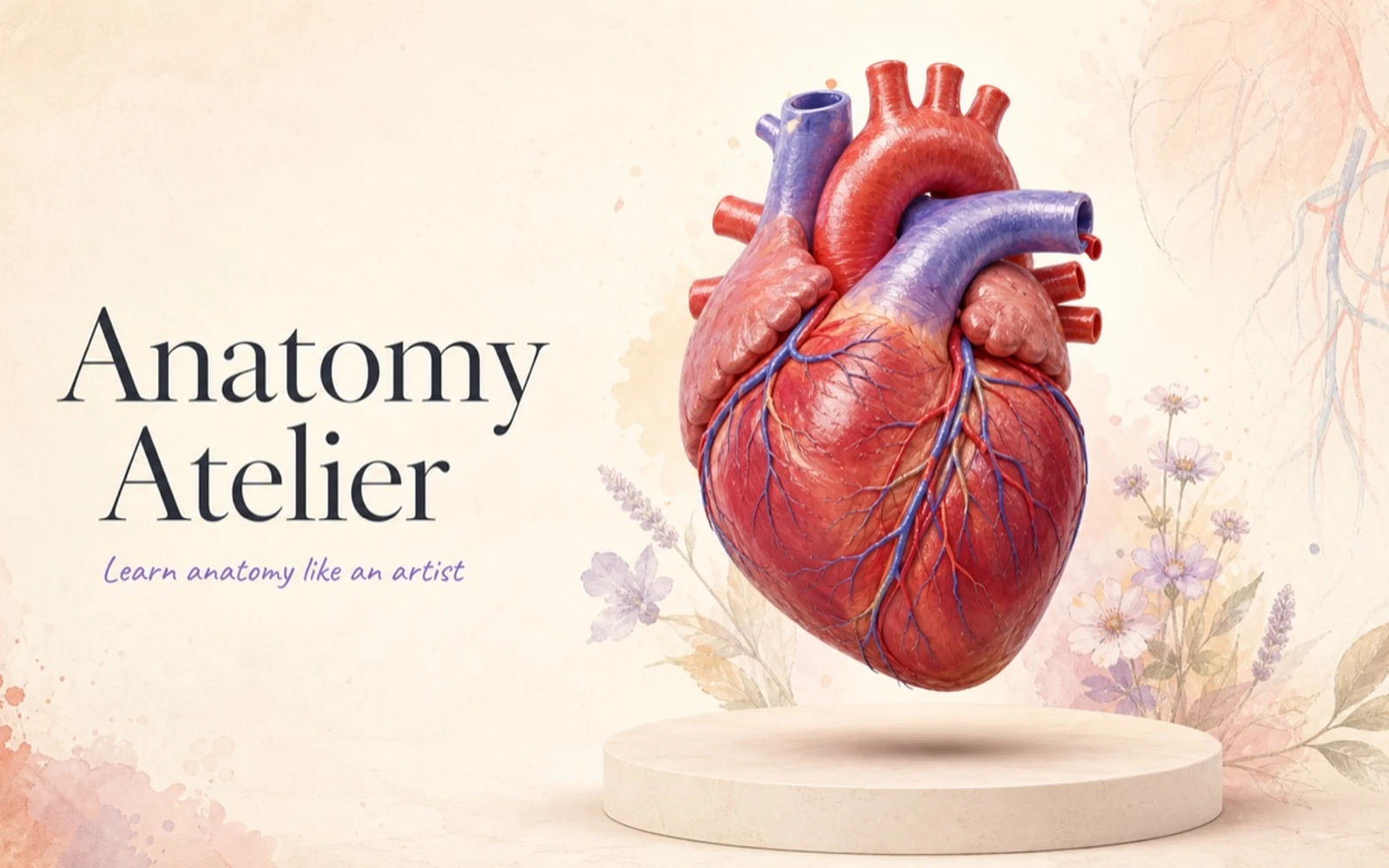 Anatomy Atelier