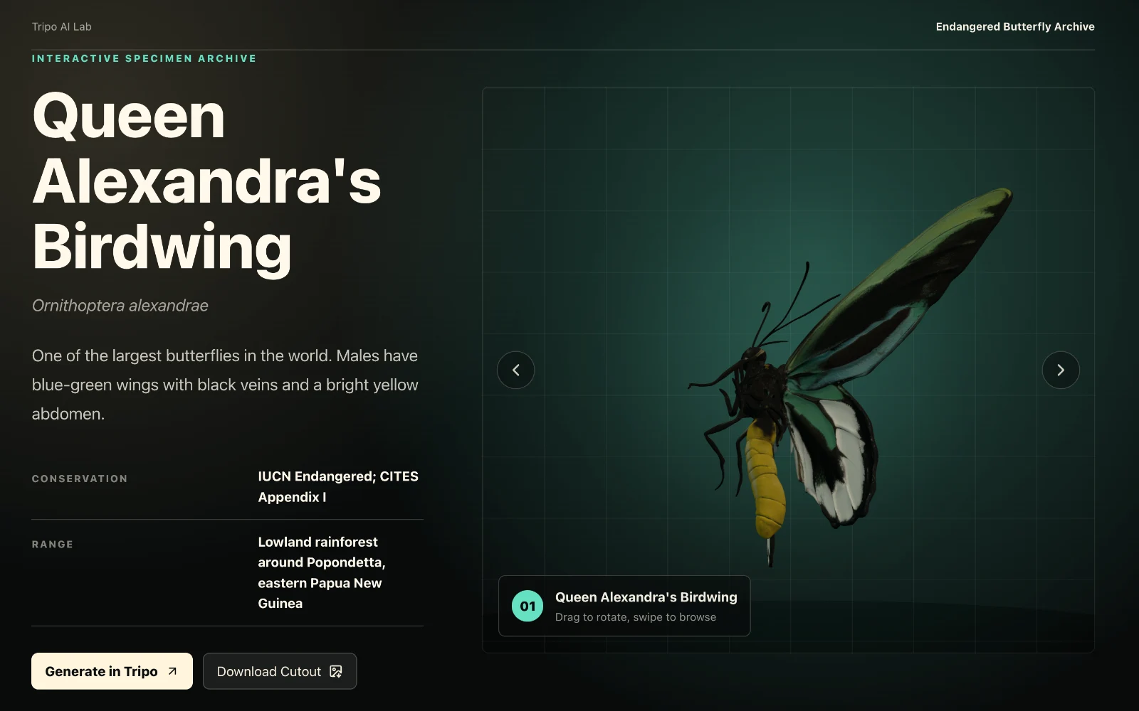 Endangered Butterfly Archive